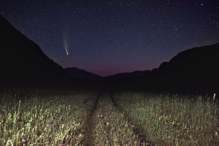 Астропланетарий Levenhuk Star Sky: отзывы пользователей
